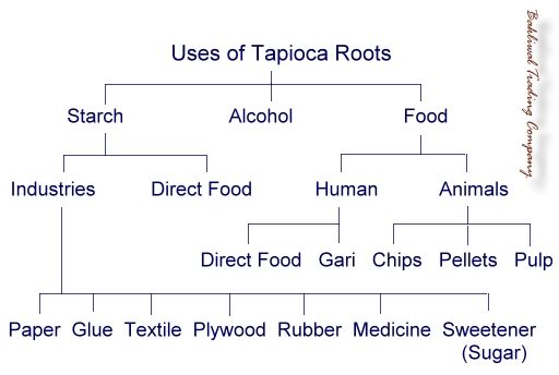 Uses of Tapioca